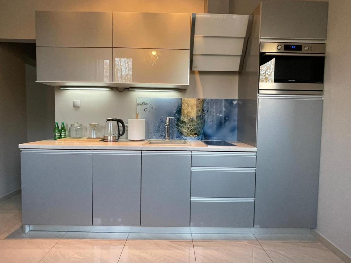 שצ'צ'ין Apartment Sauna Infrared מראה חיצוני תמונה